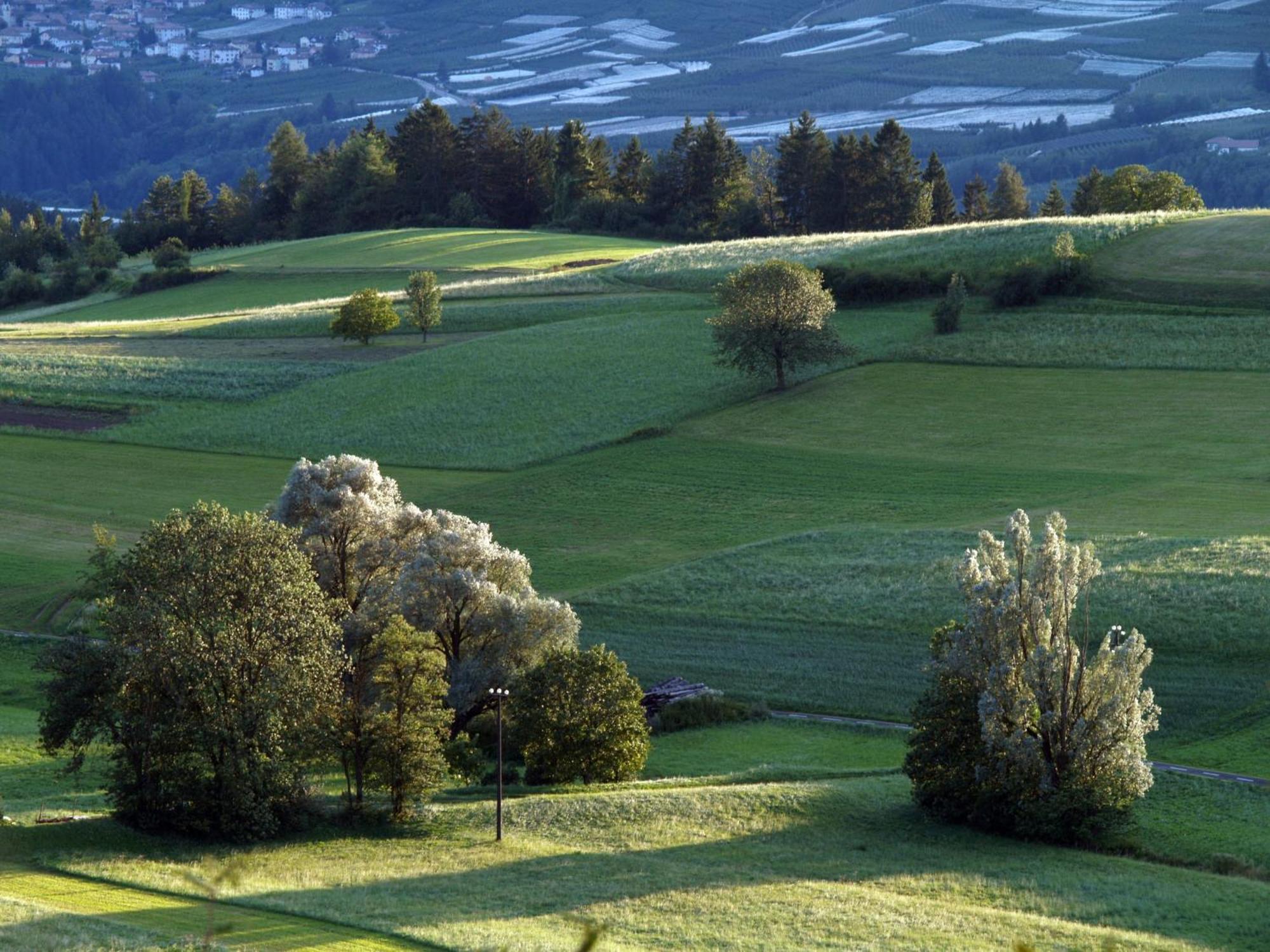 Casa Pradiei Dolomiti View カヴァレーノ エクステリア 写真
